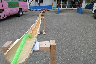 IMG_3877.jpg
