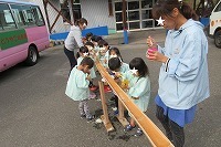 IMG_3882.jpg