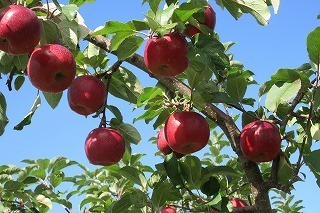IMG_3899.jpg