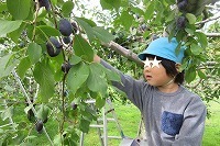 IMG_3907.jpg