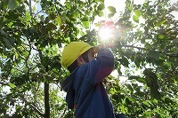 IMG_3913.jpg