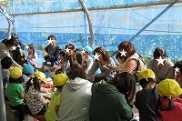 IMG_3924.jpg