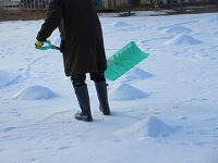 IMG_3928.jpg