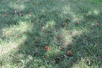 IMG_4029.jpg