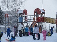 IMG_4031.jpg