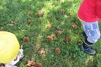 IMG_4036.jpg
