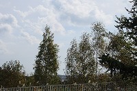IMG_4086.jpg