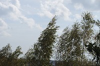 IMG_4090.jpg