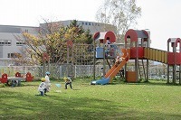 IMG_4095.jpg