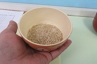IMG_4165.jpg
