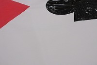 IMG_4302.jpg