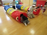 IMG_4539.jpg