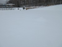 IMG_4600.jpg