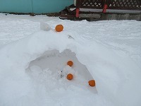 IMG_4691.jpg