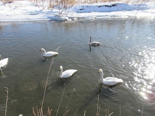 IMG_4719.jpg