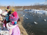 IMG_4729.jpg