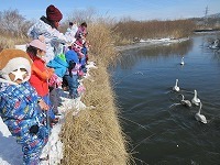IMG_4738.jpg