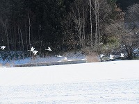 IMG_4744.jpg