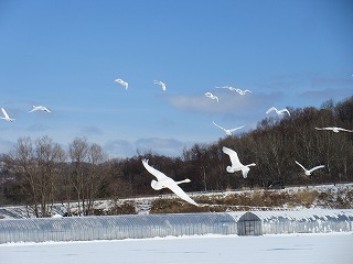 IMG_4748.jpg