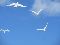 IMG_4749.jpg
