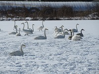 IMG_4751.jpg