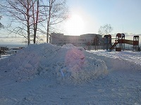 IMG_4758.jpg