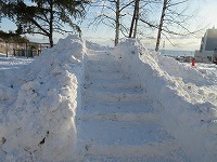 IMG_4759.jpg