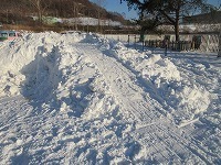 IMG_4761.jpg