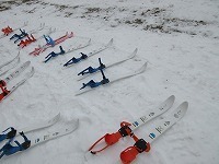 IMG_4767.jpg