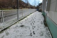 IMG_4785.jpg