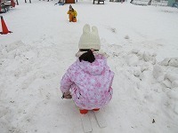 IMG_4808.jpg