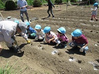 IMG_4853.jpg