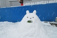 IMG_4967.jpg
