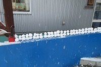 IMG_4969.jpg