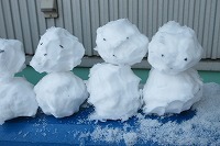 IMG_4971.jpg