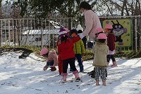 IMG_5020.jpg