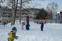 IMG_5113.jpg