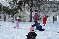IMG_5116.jpg