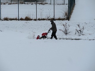 IMG_5250.jpg