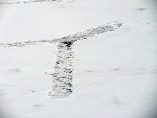 IMG_5257.jpg