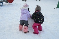 IMG_5272.jpg