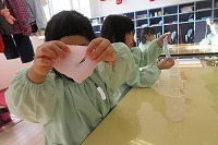 IMG_5289.jpg
