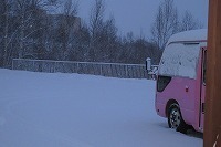 IMG_5349.jpg
