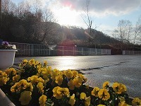 IMG_5448.jpg