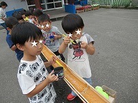 IMG_5559.jpg