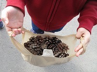 IMG_5674.jpg