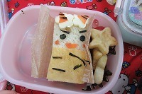 IMG_5675.jpg