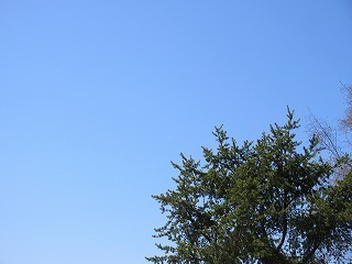 IMG_5787.jpg