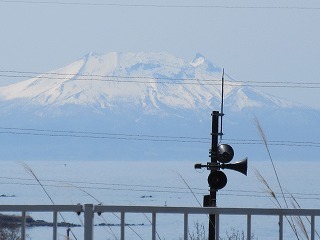 IMG_5790.jpg