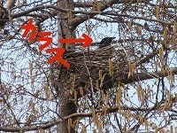IMG_5843.jpg